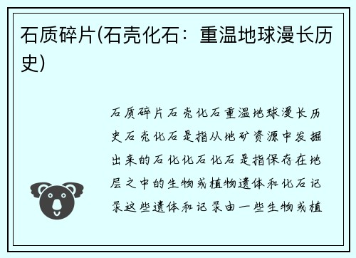 石质碎片(石壳化石：重温地球漫长历史)